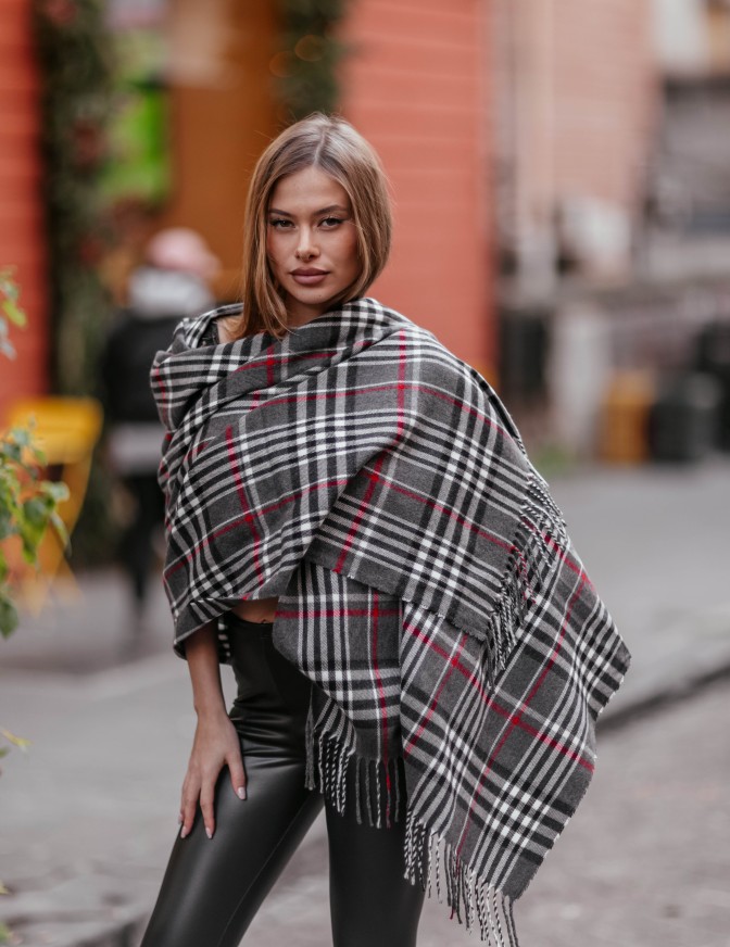 VICOLO SCIARPA  QUADRO RIGO...